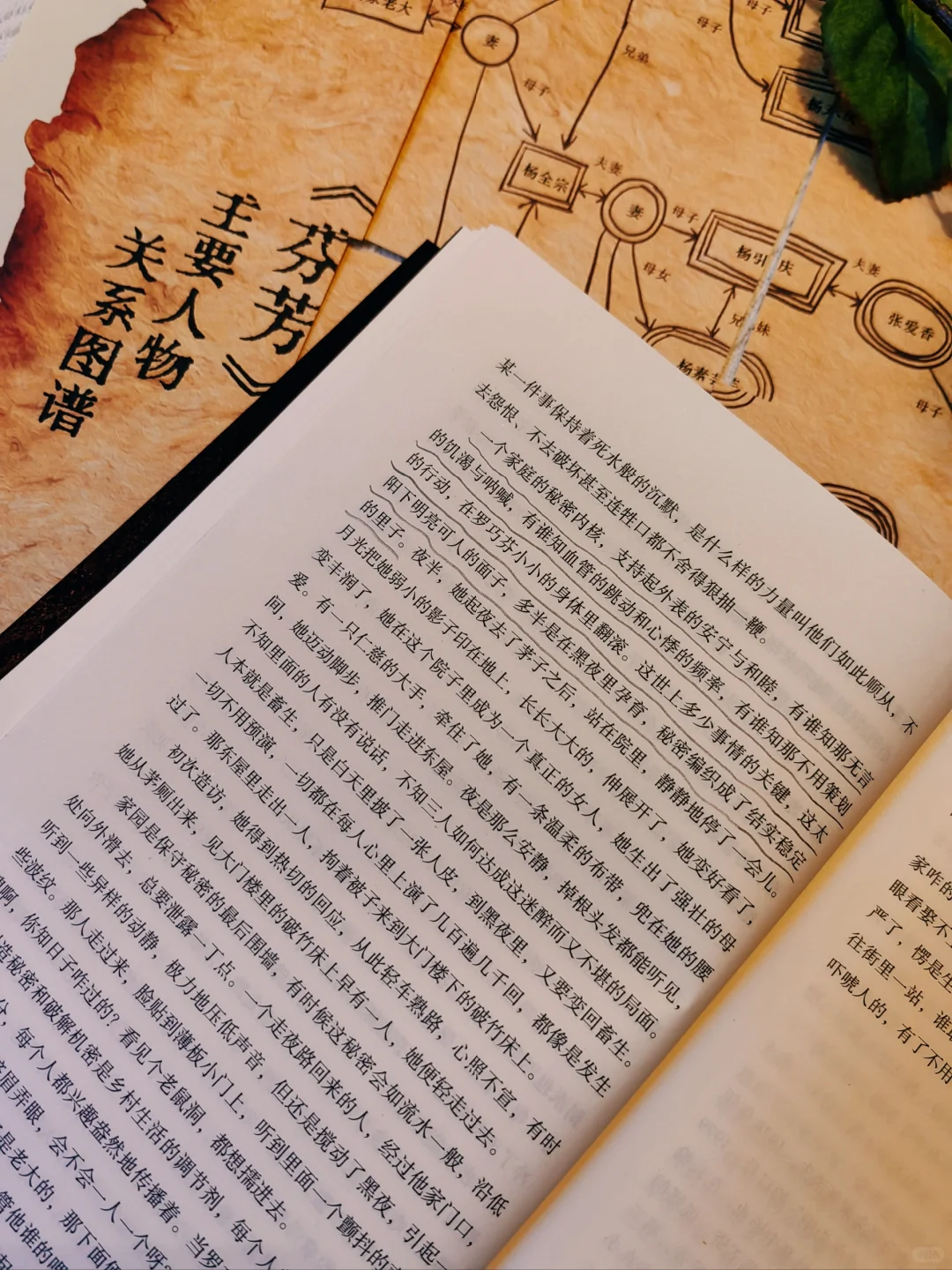 这部书写女性命运的长河小说，值得通宵读完