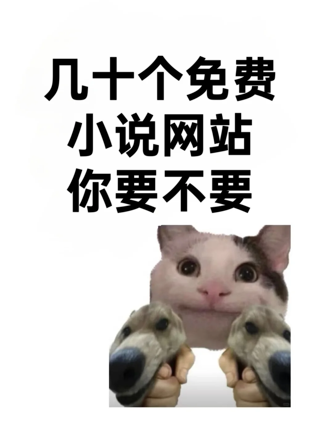 几十个免费小说网站，你要不要