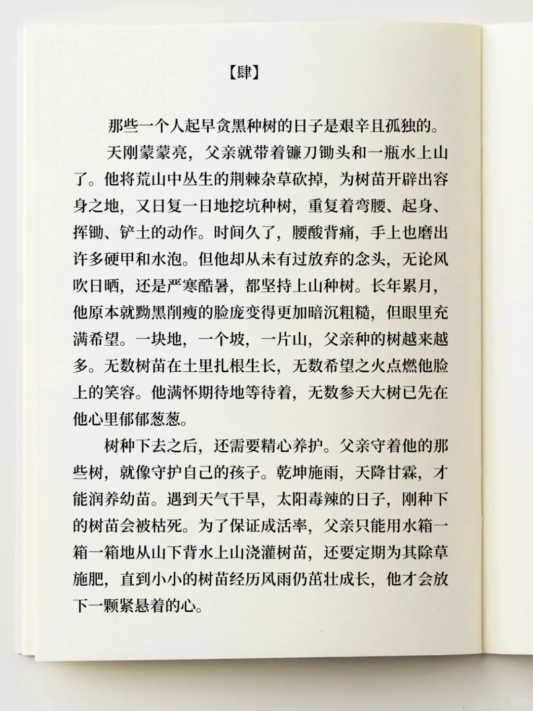 获得三等奖的散文 《父亲的树》