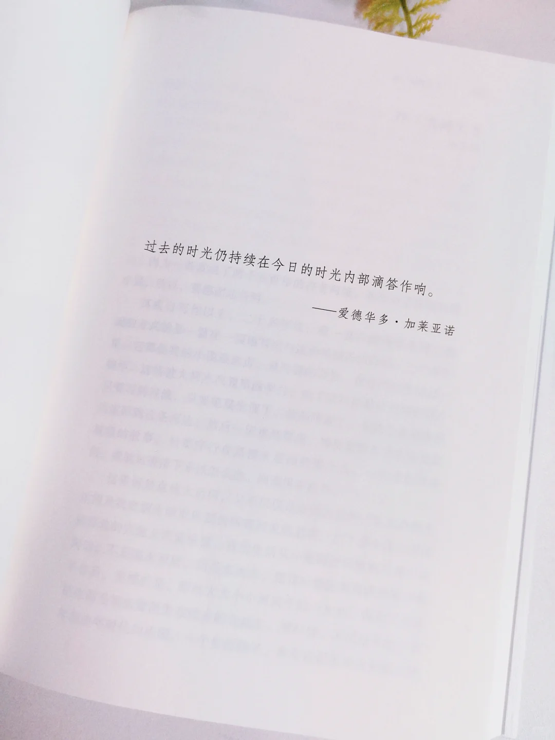 矛盾文学奖|这真是一本后劲很大的书