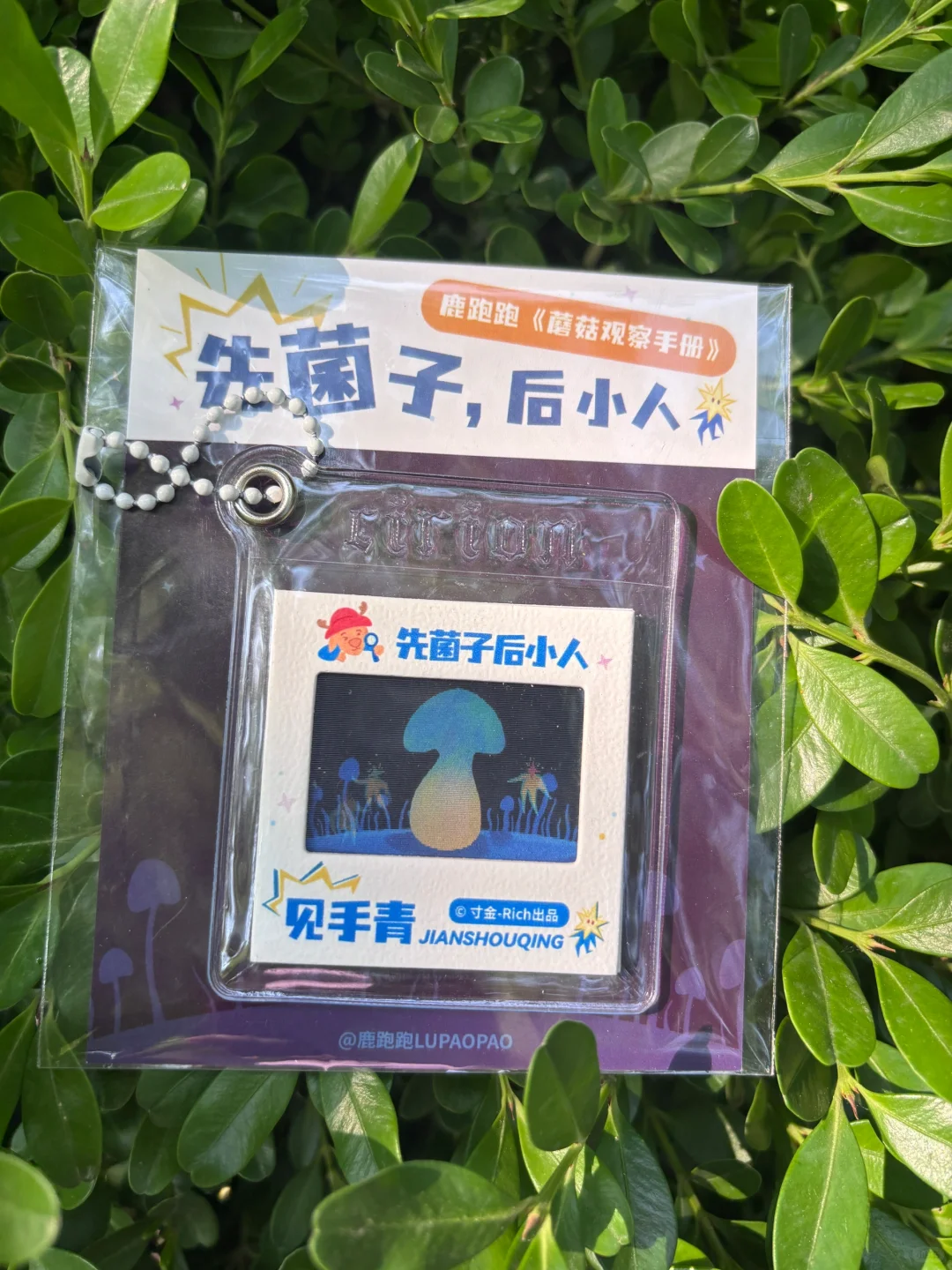 🔥DK新书预售！蘑菇控必入的真菌百科全书