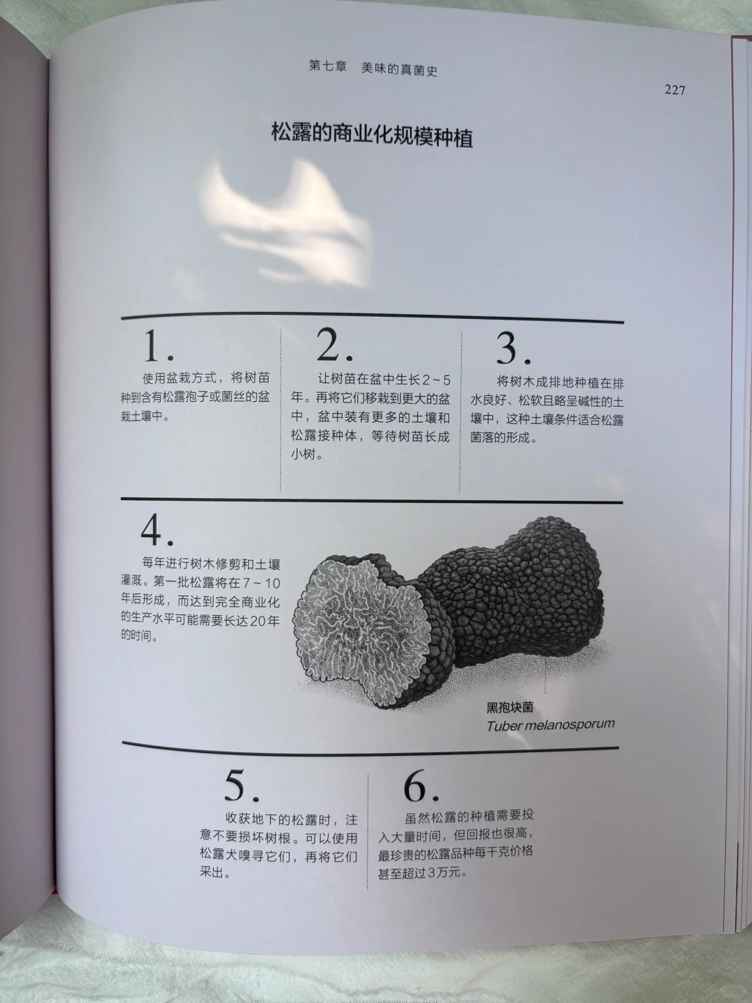 🔥DK新书预售！蘑菇控必入的真菌百科全书