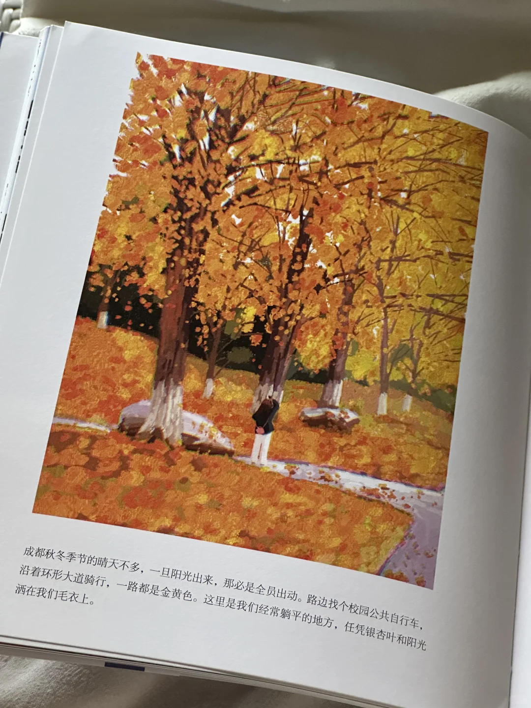 一眼沦陷💙这本书真的太太太太美了啊！！