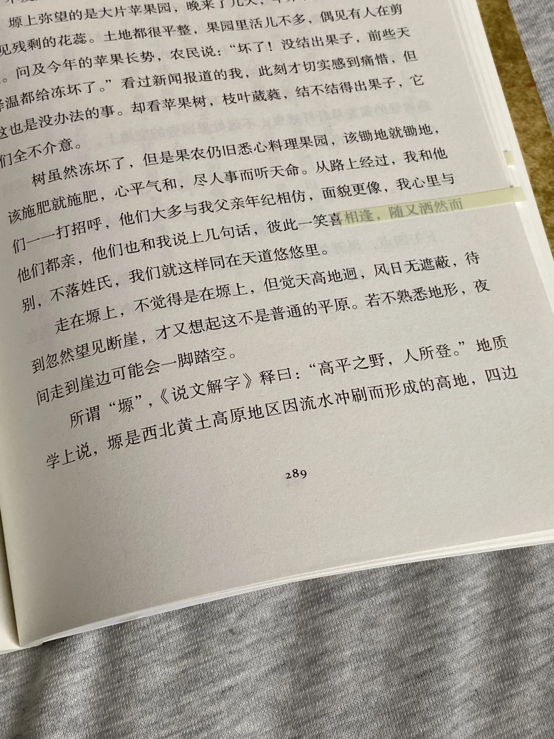 她的文笔简直美到令人窒息❕恨不得全文摘抄！