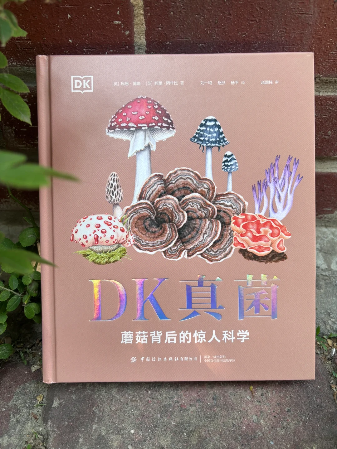 🔥DK新书预售！蘑菇控必入的真菌百科全书