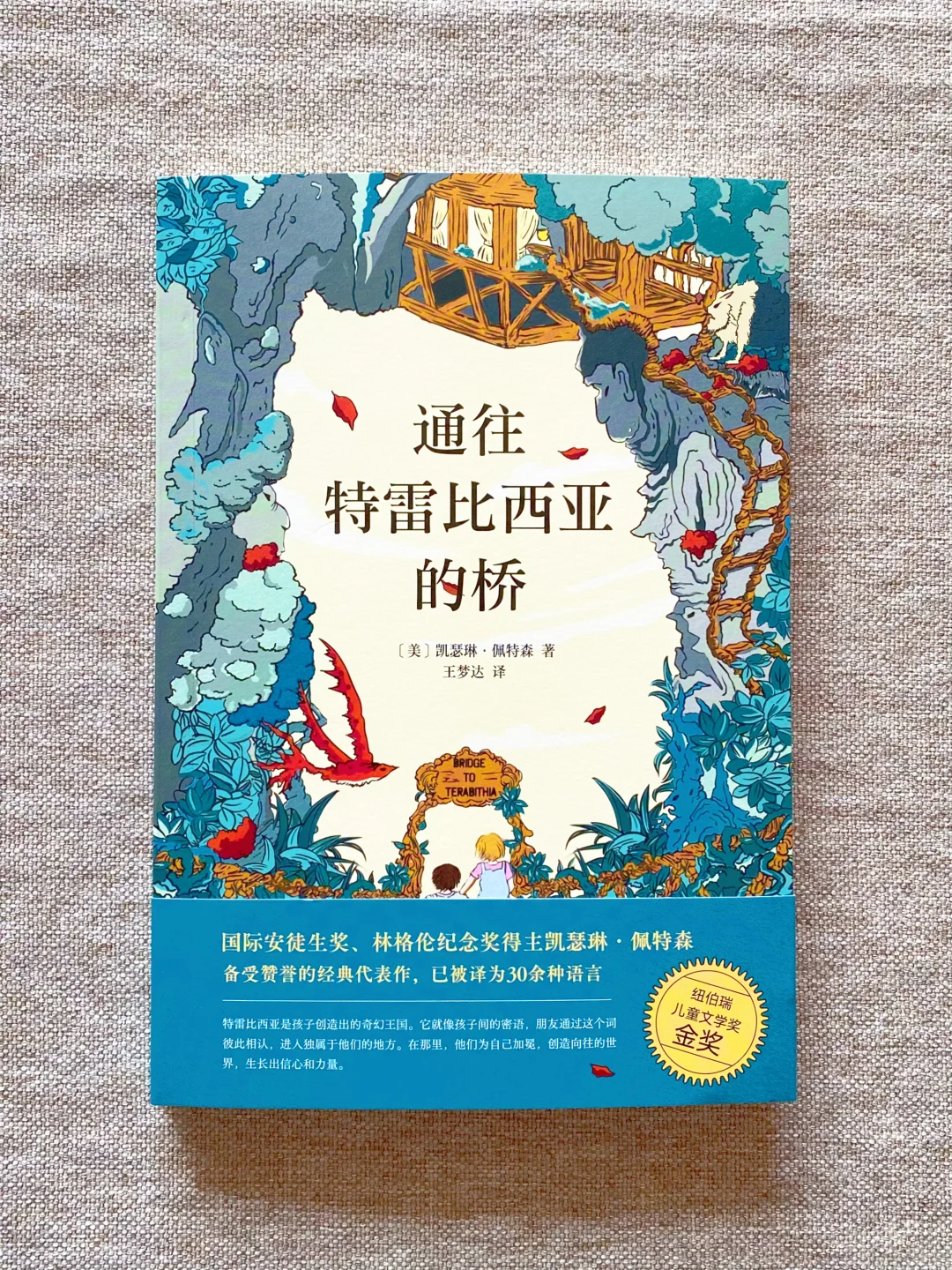 二年级又读了好多书📚推理 冒险 大奖作品