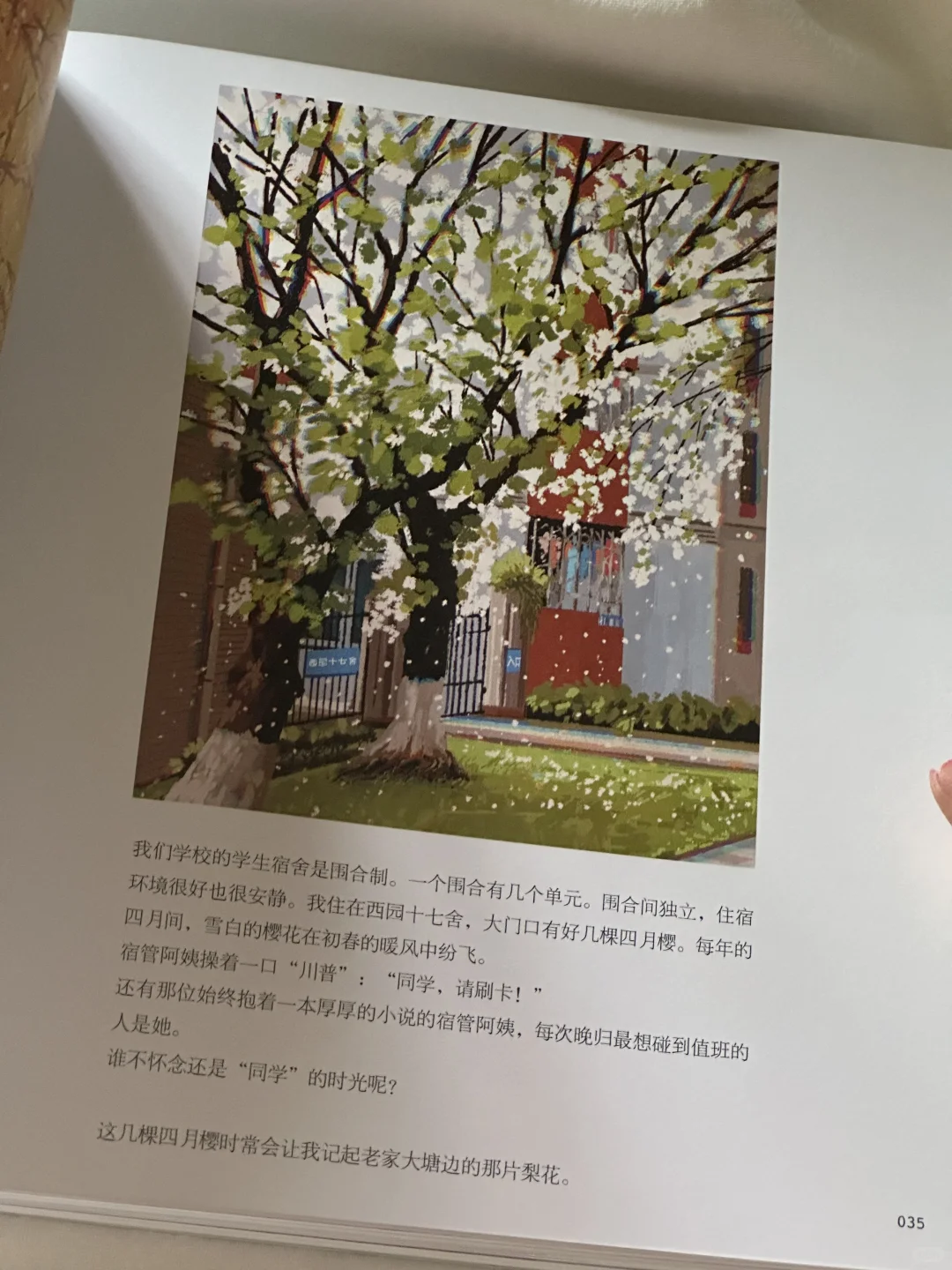 一眼沦陷💙这本书真的太太太太美了啊！！