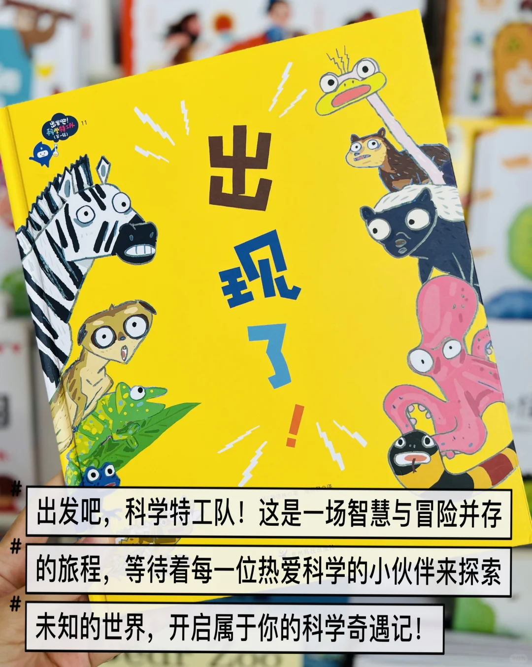 3岁➕幼儿园快被翻烂的9本绘本📚亲测不踩雷