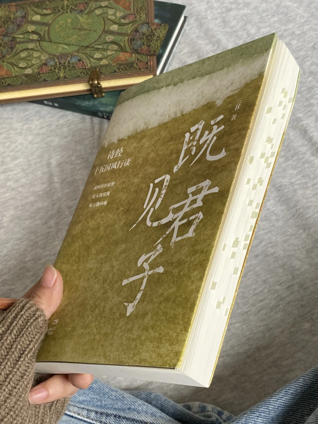 她的文笔简直美到令人窒息❕恨不得全文摘抄！