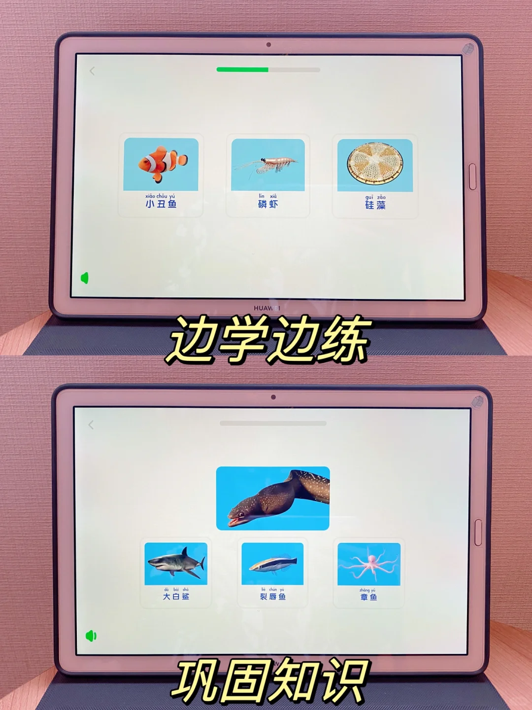 6岁小朋友科学知识量暴涨，我是这样做的