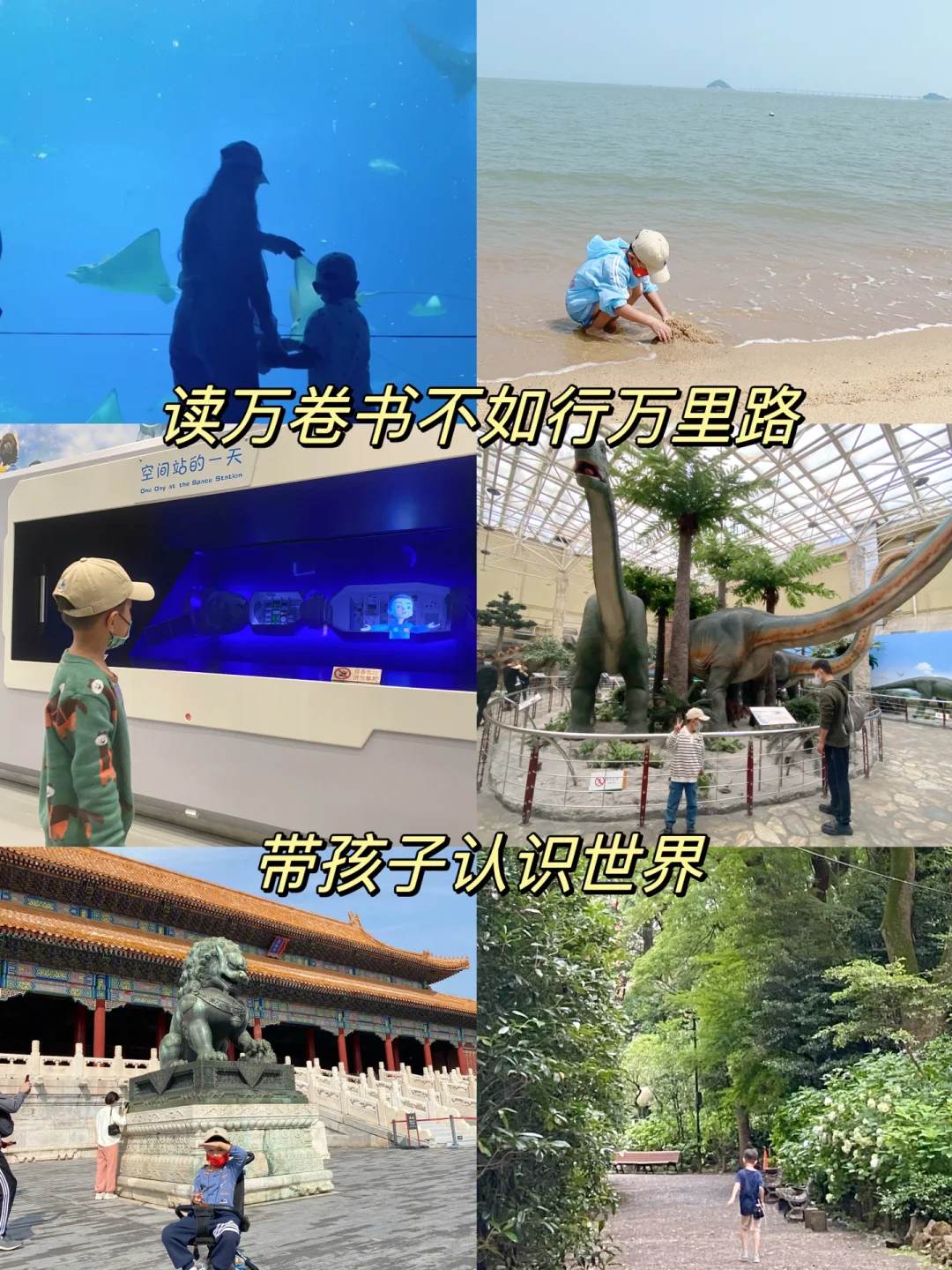 6岁小朋友科学知识量暴涨，我是这样做的