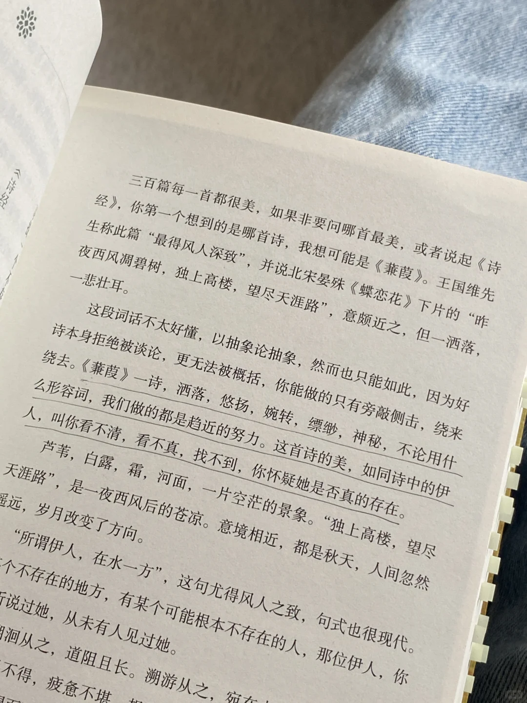 她的文笔简直美到令人窒息❕恨不得全文摘抄！