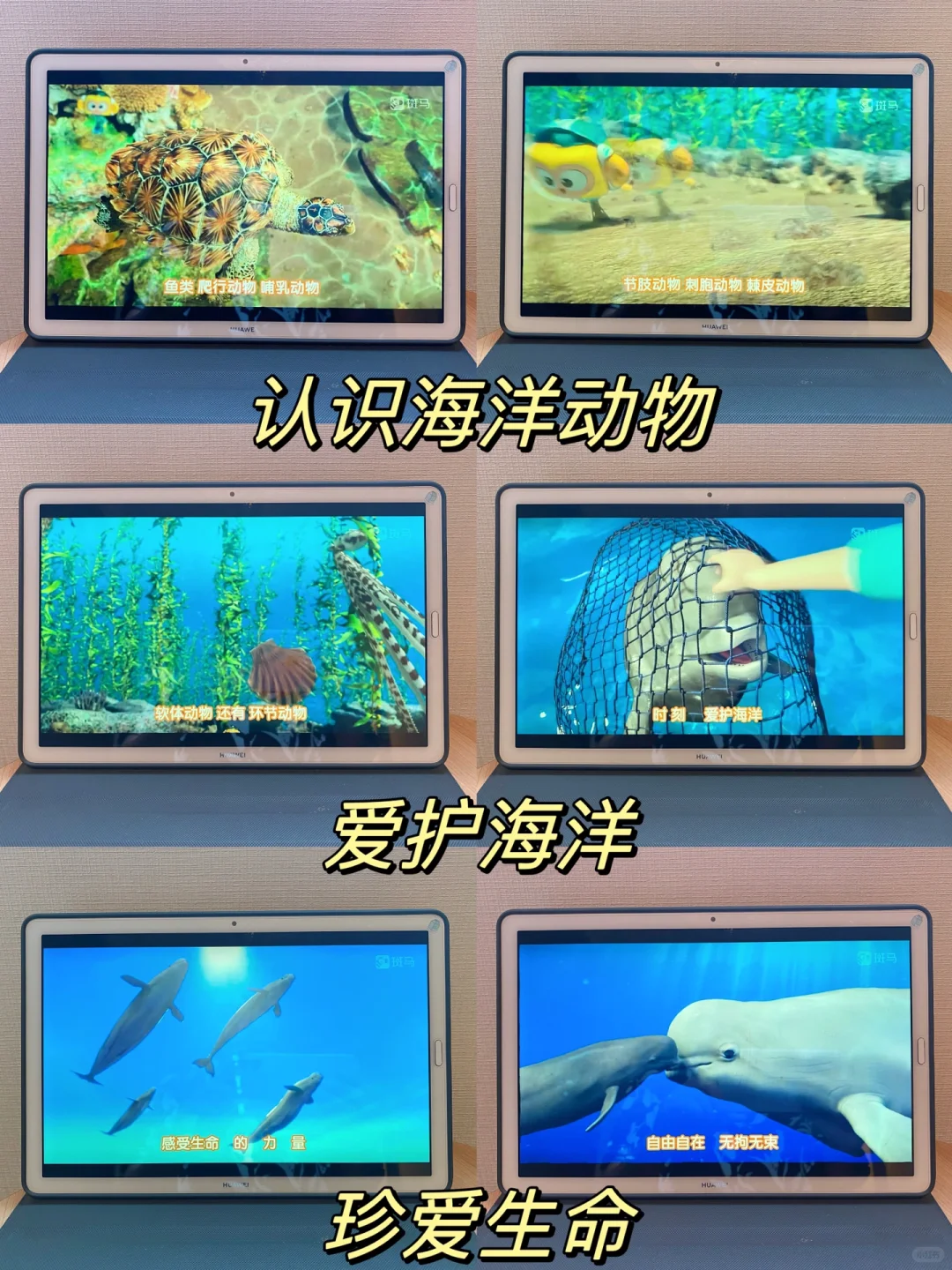 6岁小朋友科学知识量暴涨，我是这样做的