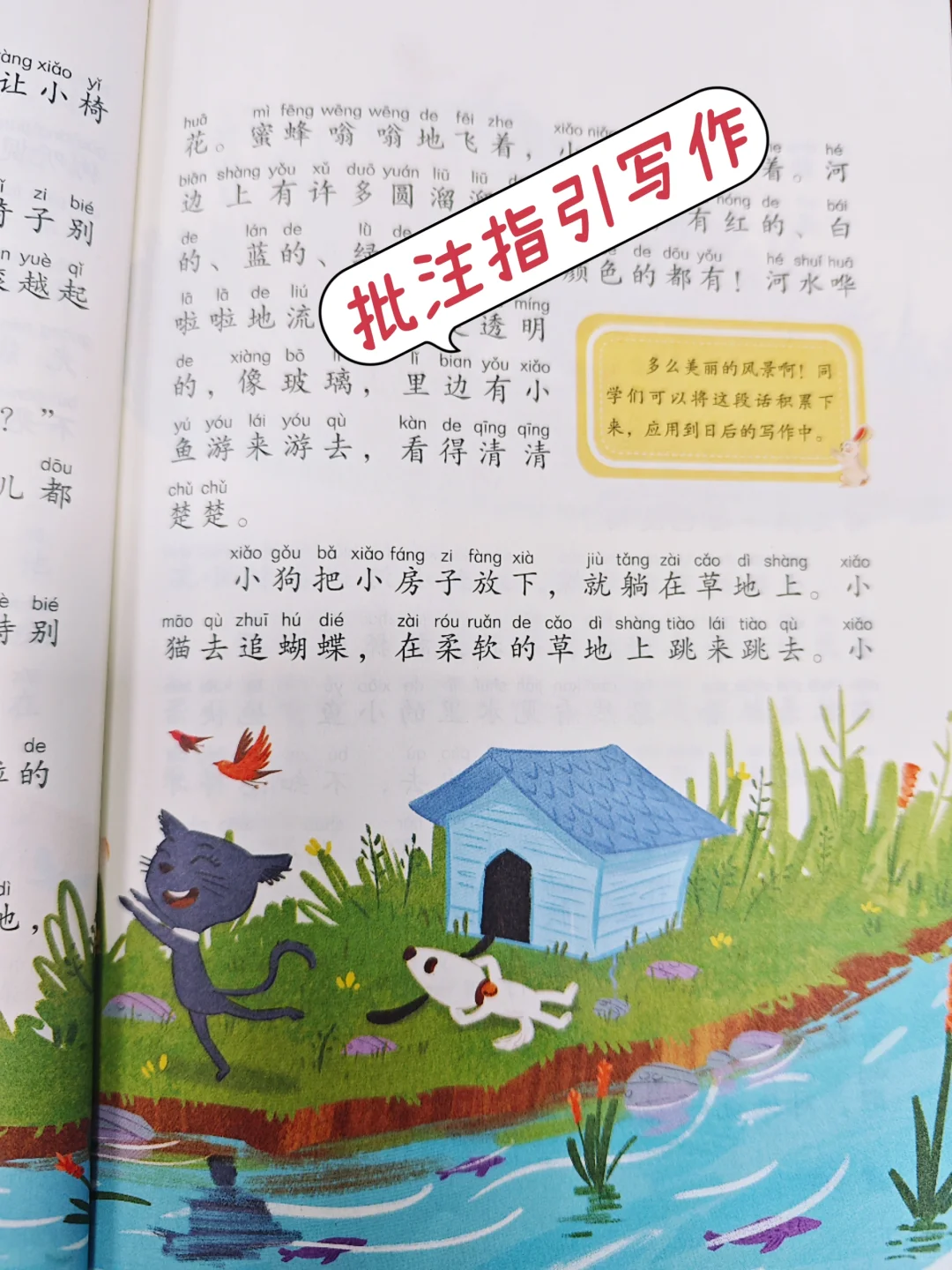 📚二年级码住！必读经典童话合集来啦！🪄