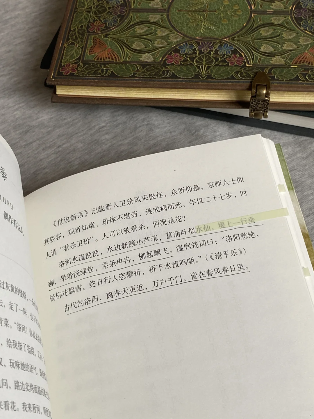 她的文笔简直美到令人窒息❕恨不得全文摘抄！