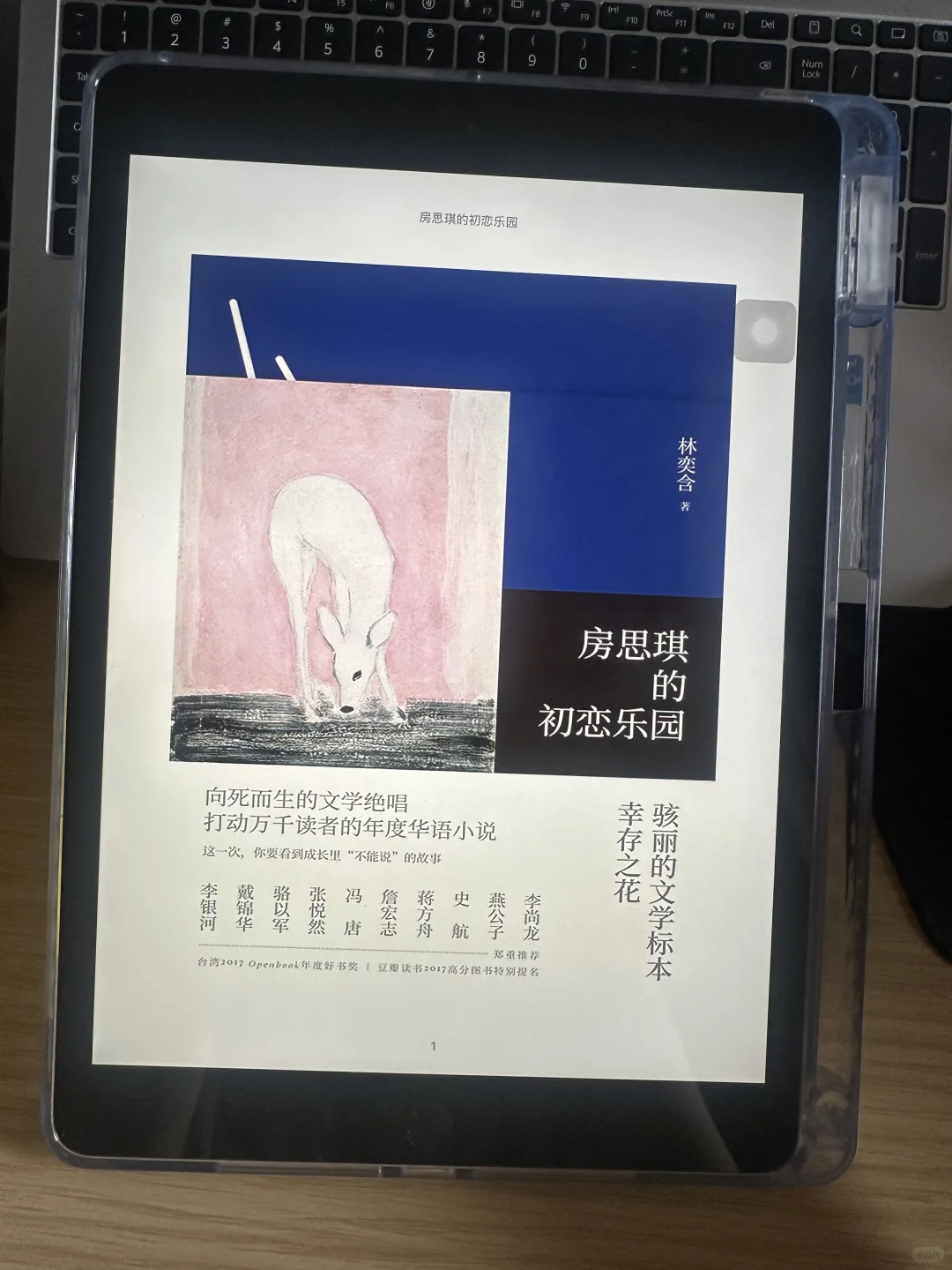 感谢感谢🙏电子书自由啦
