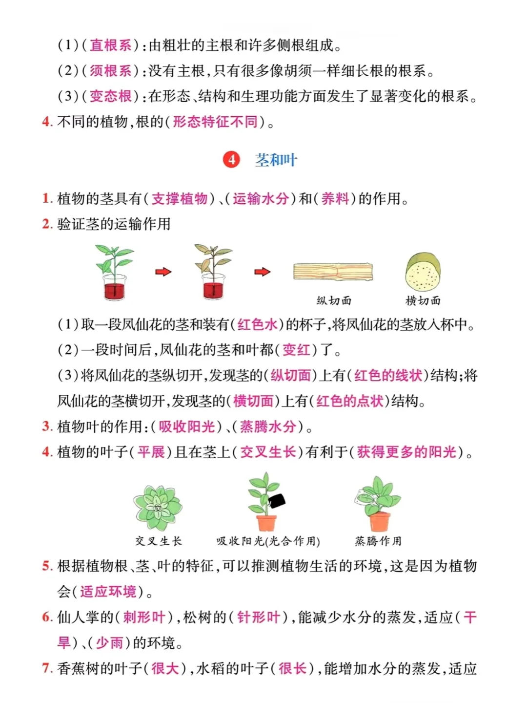 四下教科版科学「全册精编知识点」✅✅