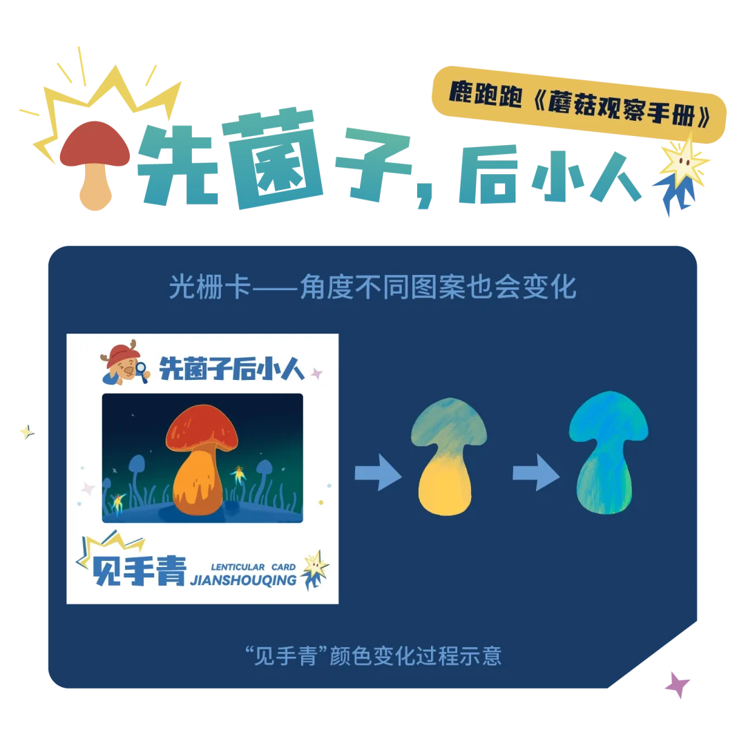 🔥DK新书预售！蘑菇控必入的真菌百科全书