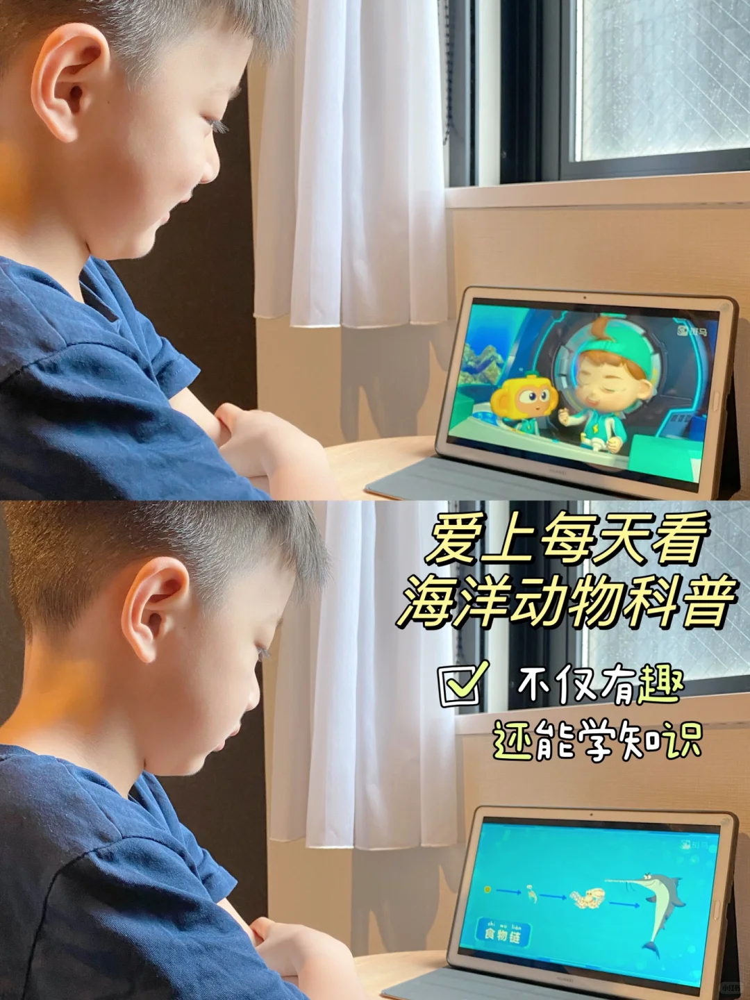 6岁小朋友科学知识量暴涨，我是这样做的