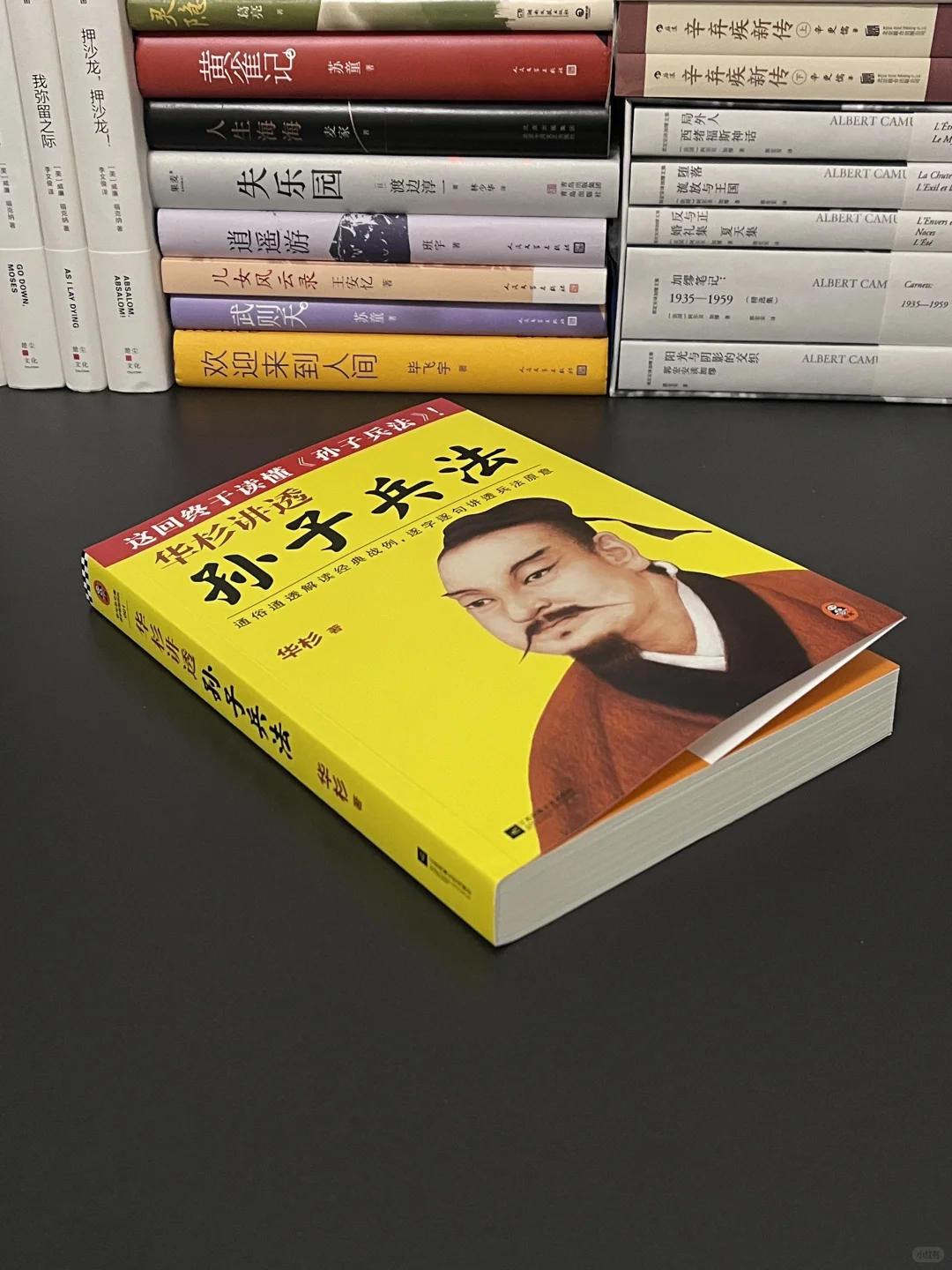 绝对是细糠！今年对我影响最大的一本书！