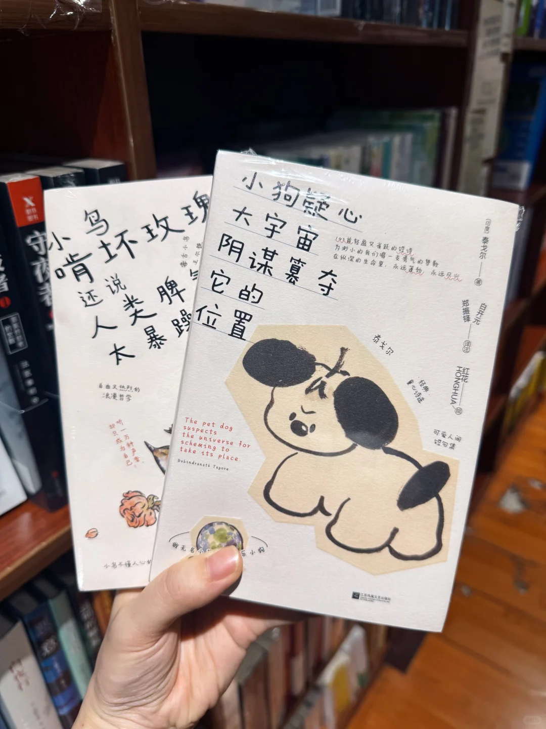 新书到店｜近期新书推荐