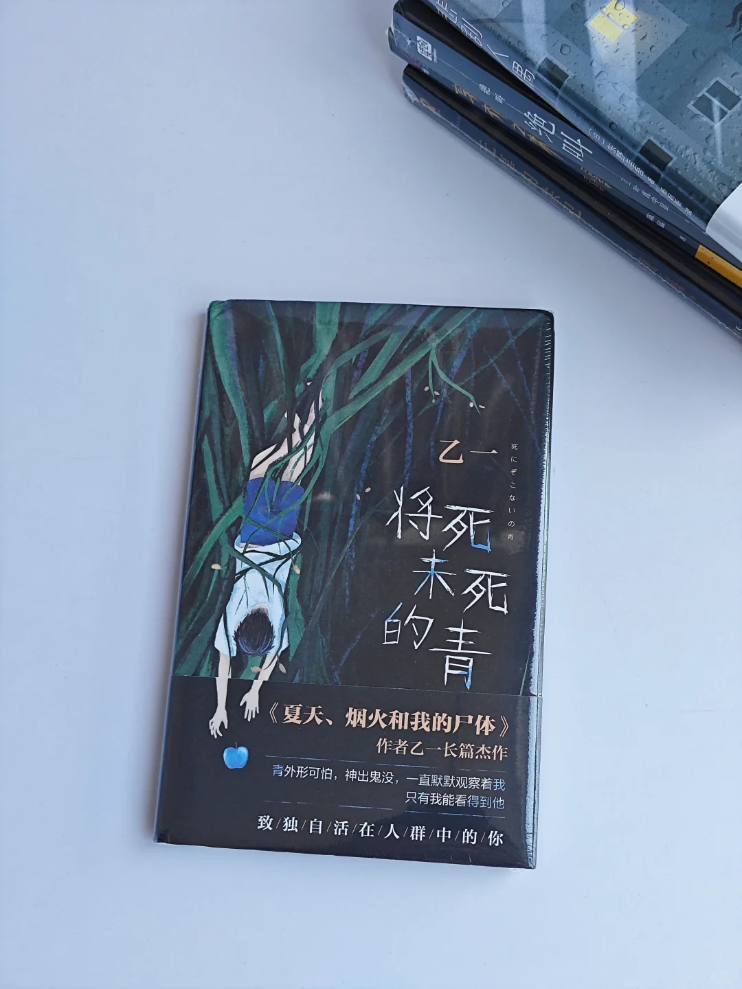 新书分享｜被新书填满的充实6月