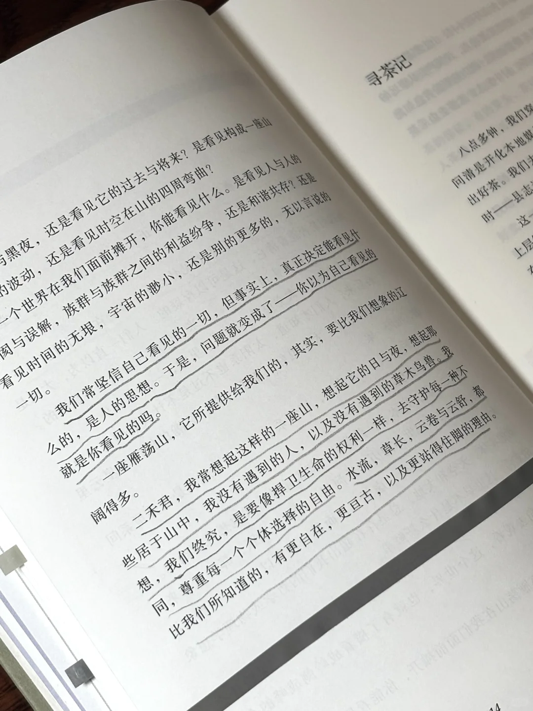 豆瓣8.1❗️好美，好冷门的山间散文啊❗️