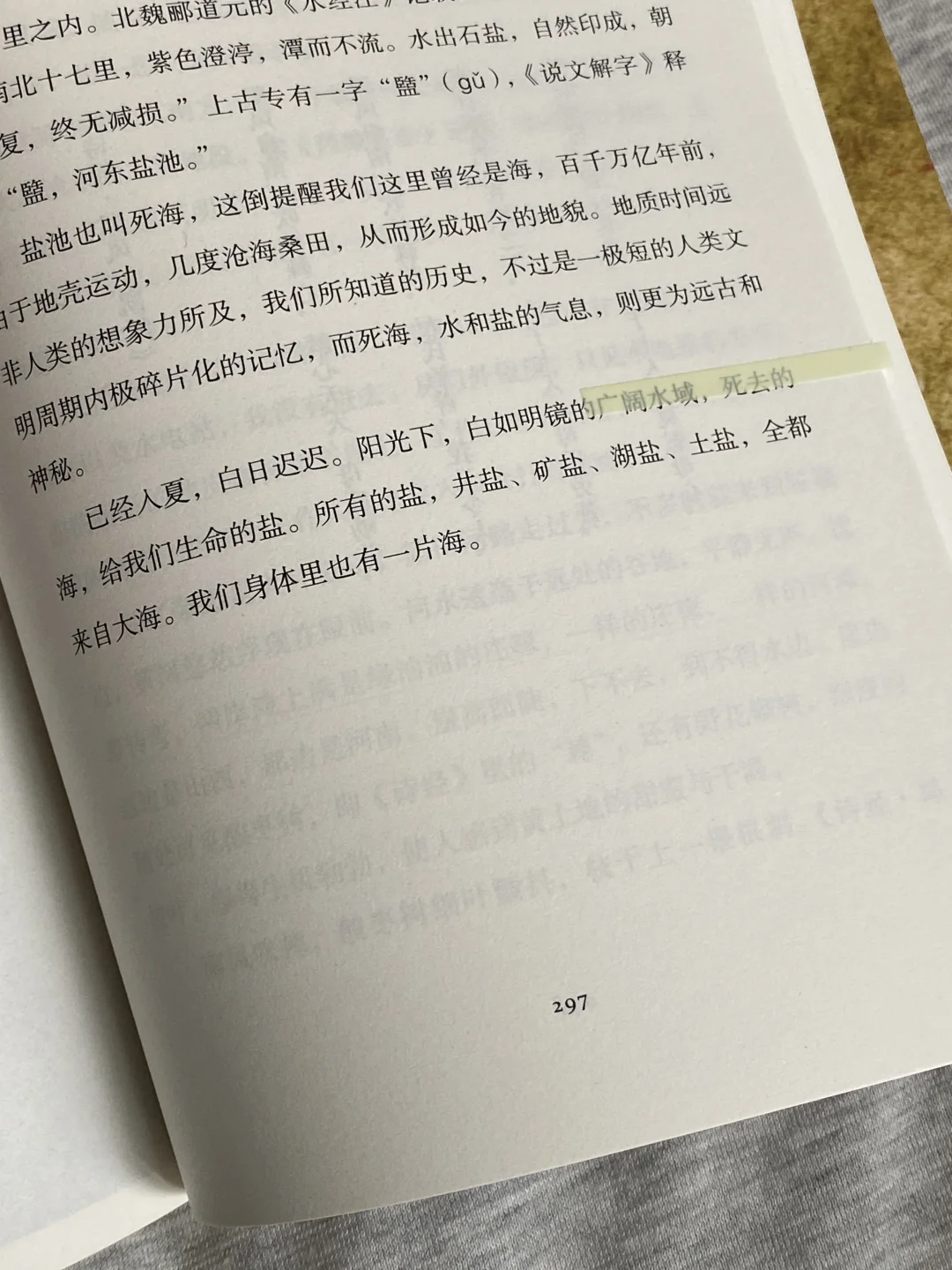 她的文笔简直美到令人窒息❕恨不得全文摘抄！
