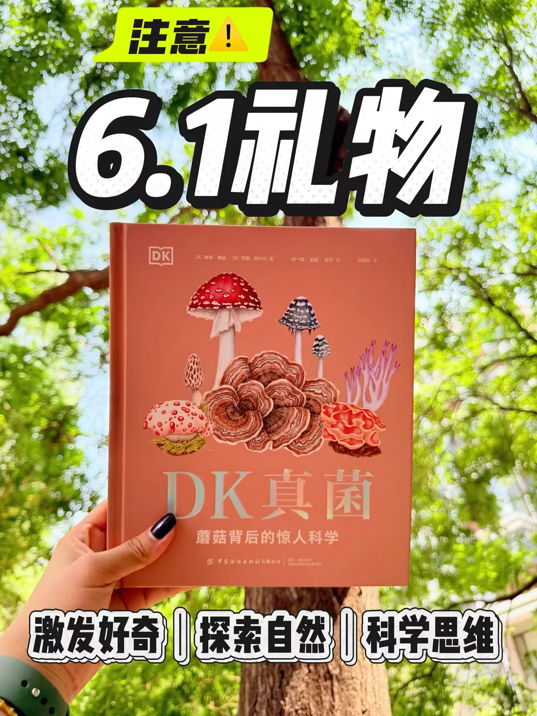 儿童节礼物选它！新书必入300种真菌全解析