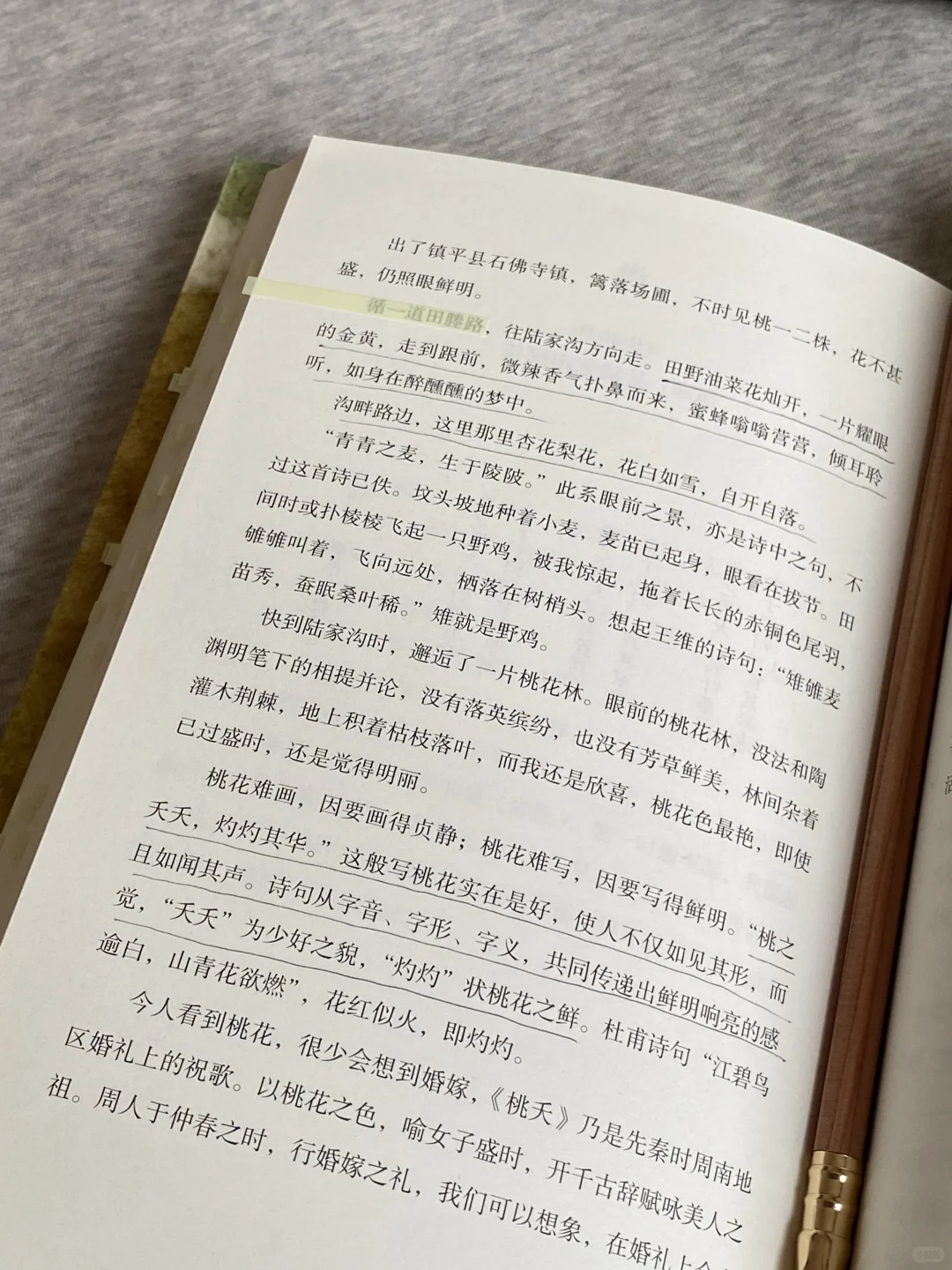 她的文笔简直美到令人窒息❕恨不得全文摘抄！