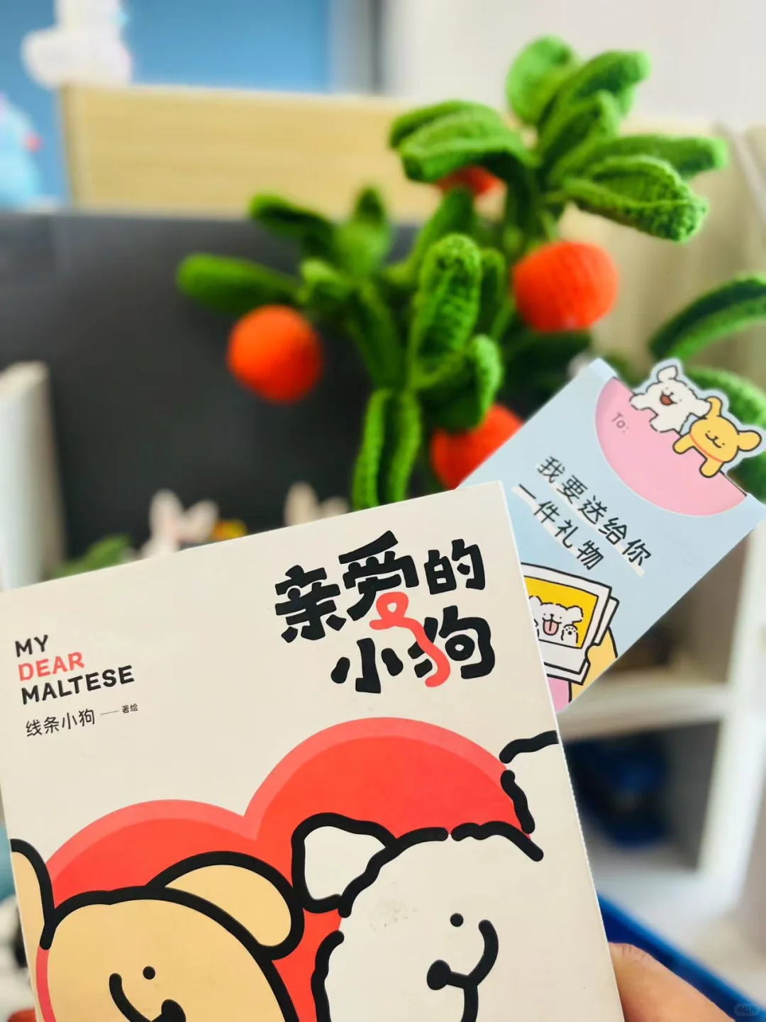 爆款｜30000册售罄❗️咔咔加印ing ~