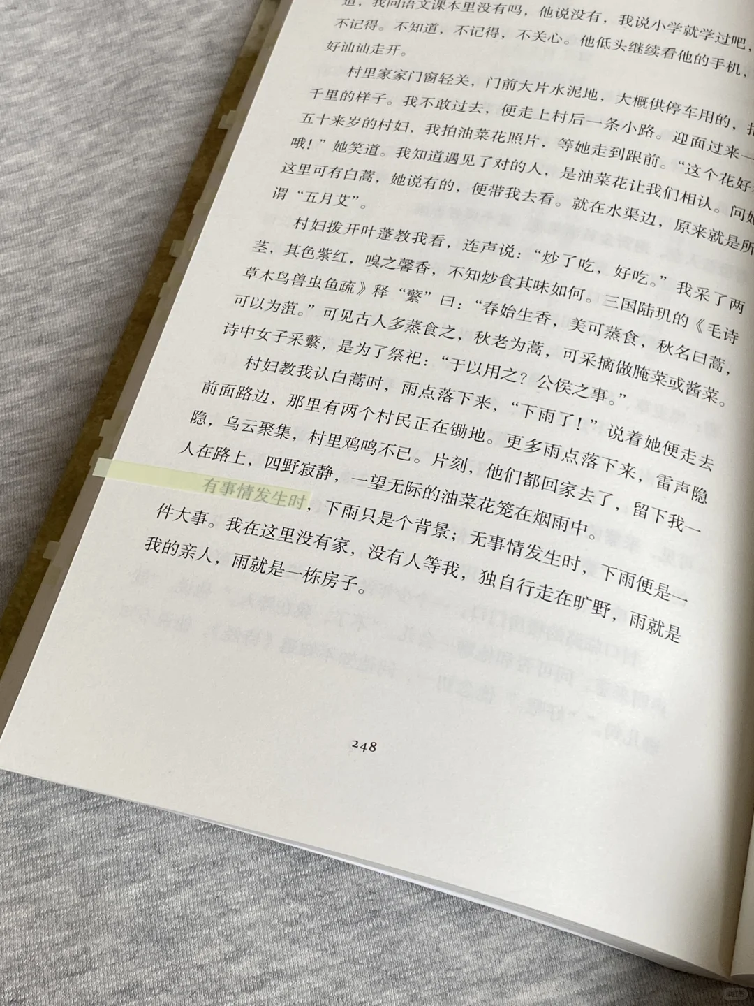 她的文笔简直美到令人窒息❕恨不得全文摘抄！