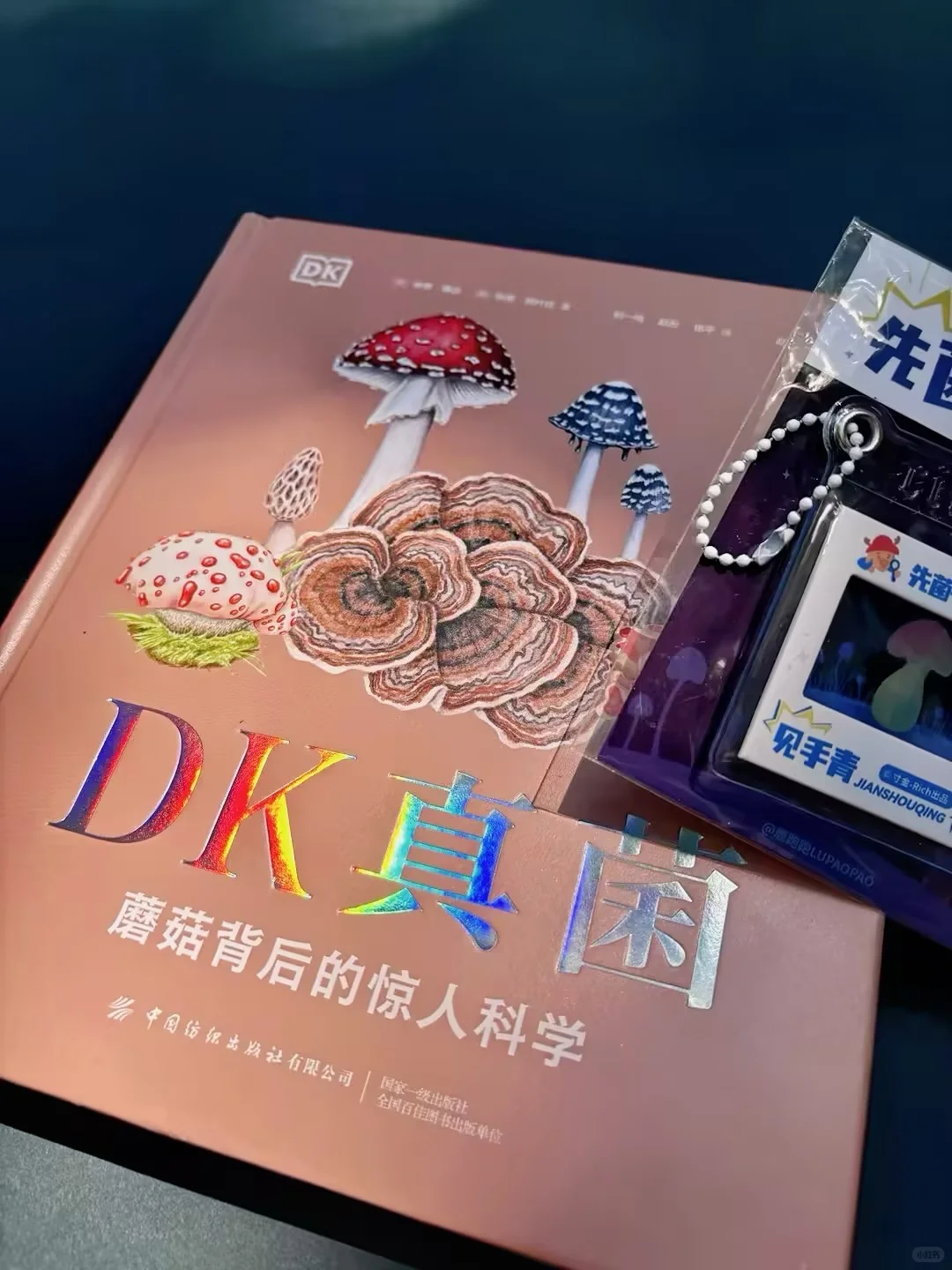 儿童节礼物选它！新书必入300种真菌全解析