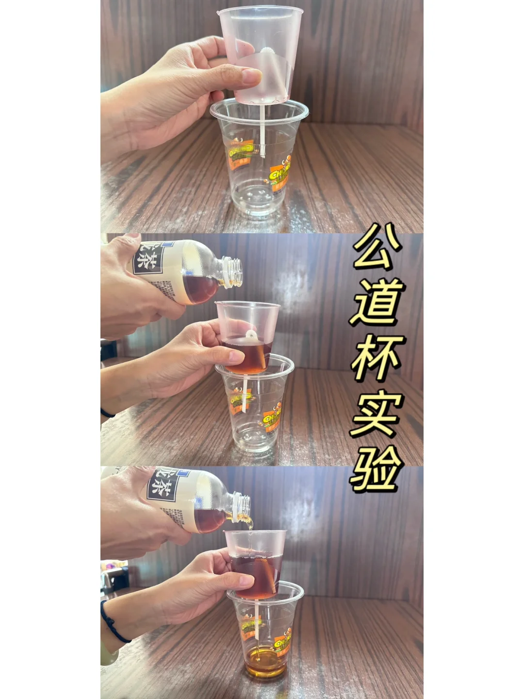 6岁小朋友科学知识量暴涨，我是这样做的