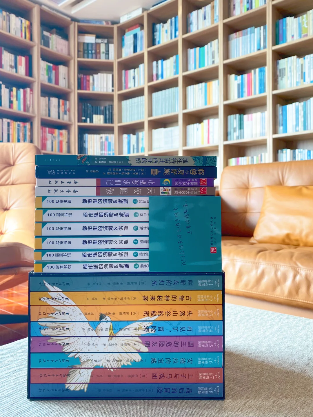 二年级又读了好多书📚推理 冒险 大奖作品