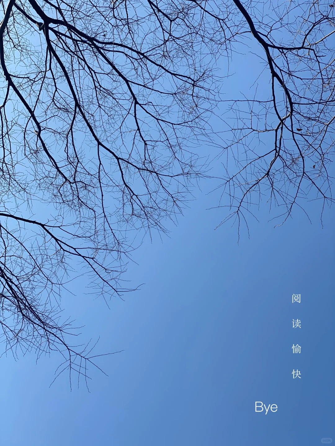 她的文笔简直美到令人窒息❕恨不得全文摘抄！