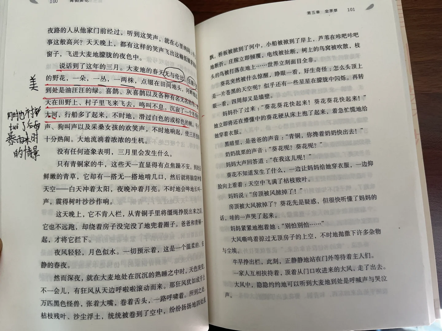 四年级孩子读过哪些好书
