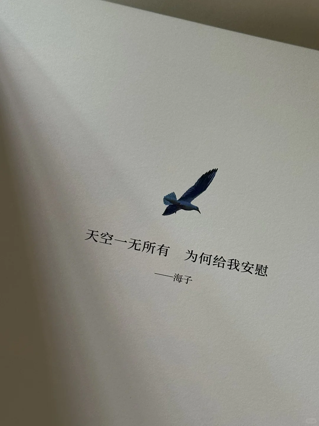一眼沦陷💙这本书真的太太太太美了啊！！