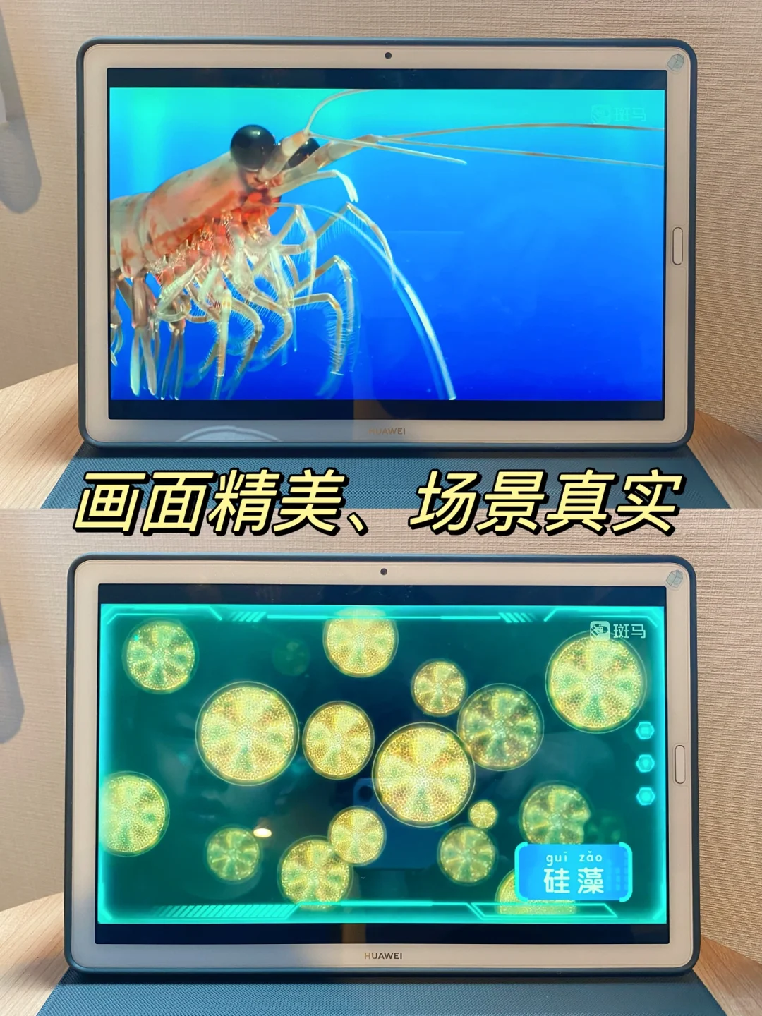 6岁小朋友科学知识量暴涨，我是这样做的