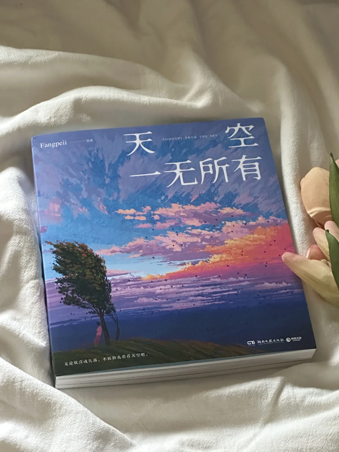一眼沦陷💙这本书真的太太太太美了啊！！