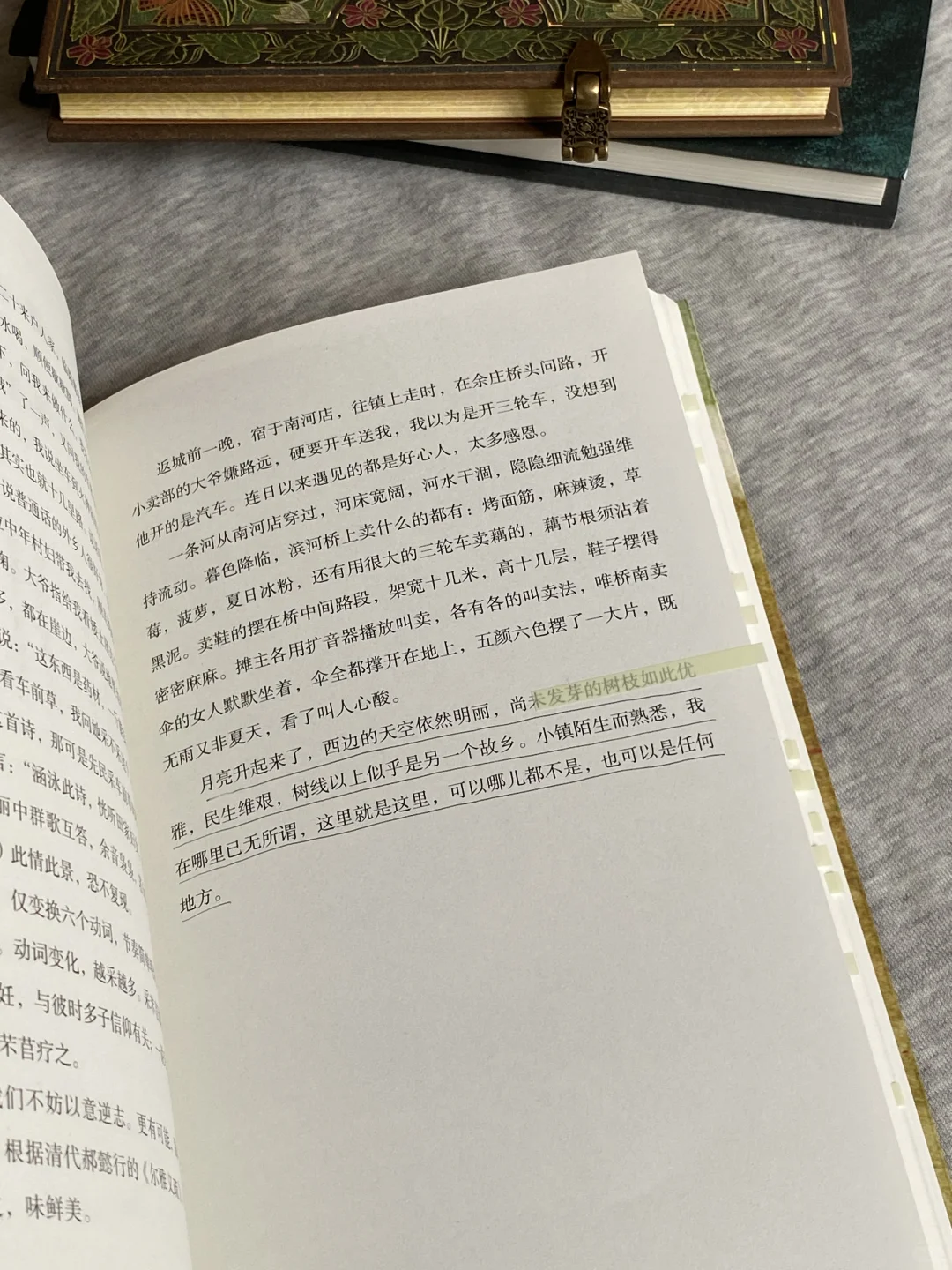 她的文笔简直美到令人窒息❕恨不得全文摘抄！