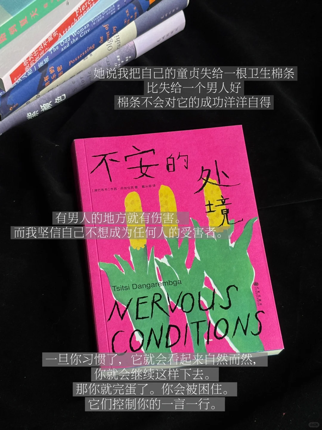 六月书单|永远为女作家着迷（第一辑）