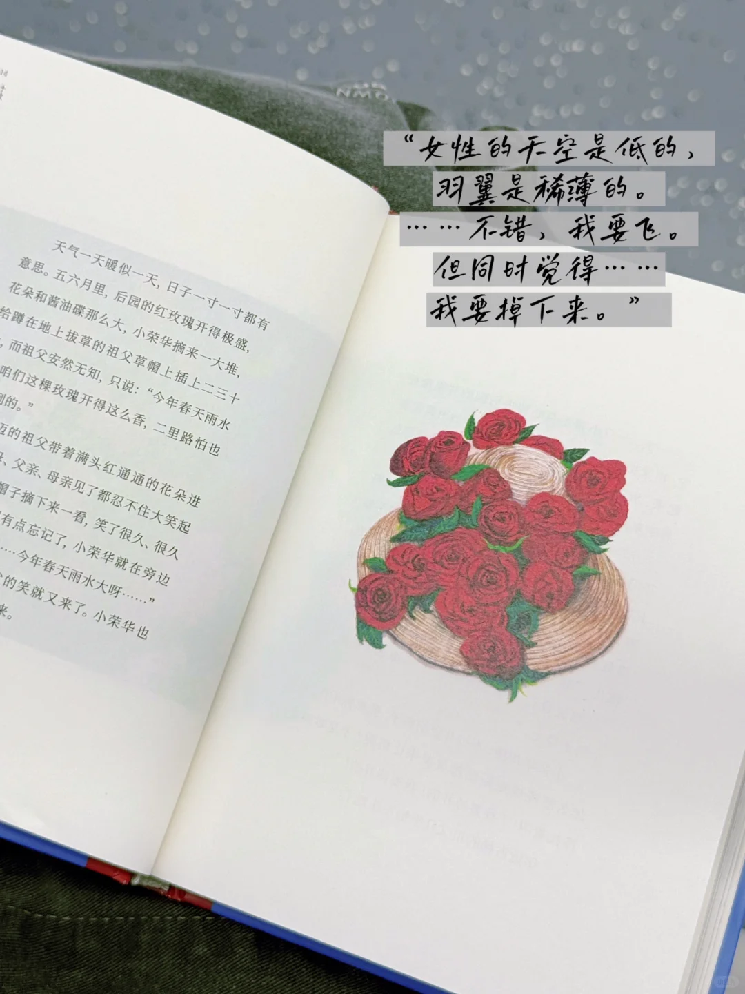 🚇 通勤书单｜读她——在没有路的地方行走🍂