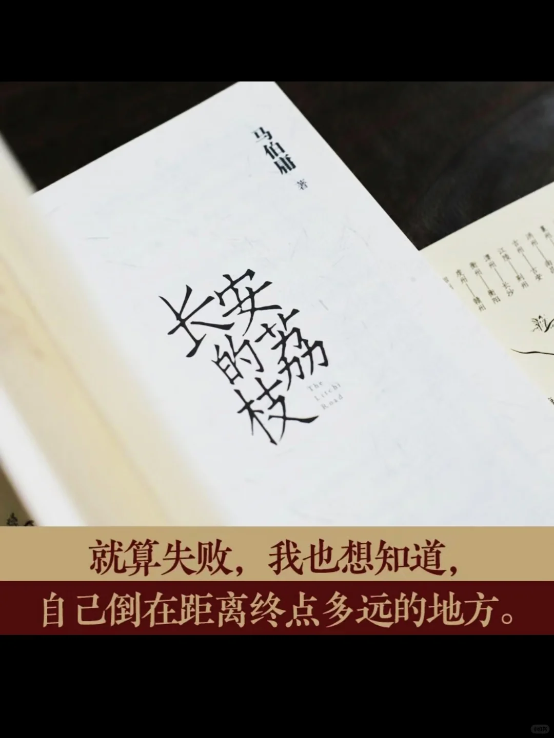 一口气读完《长安的荔枝》，太上头了！