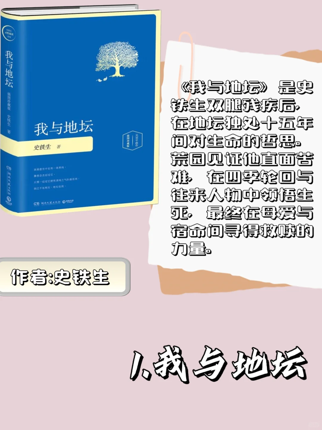 学生党｜📚必读经典文学书籍分享～