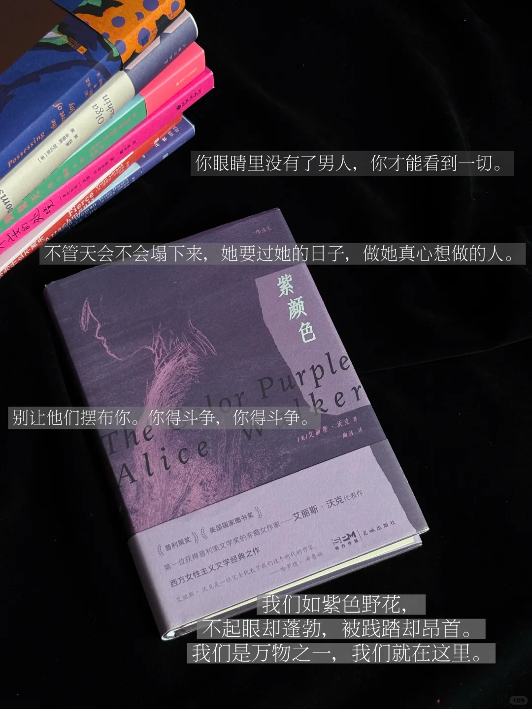 六月书单|永远为女作家着迷（第一辑）