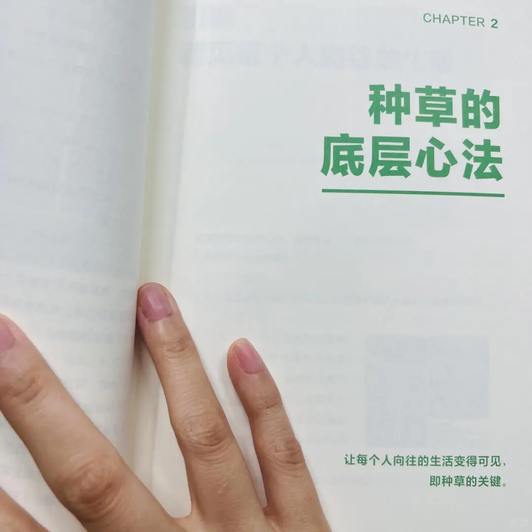 【种草】新书发售，企业运营必看！