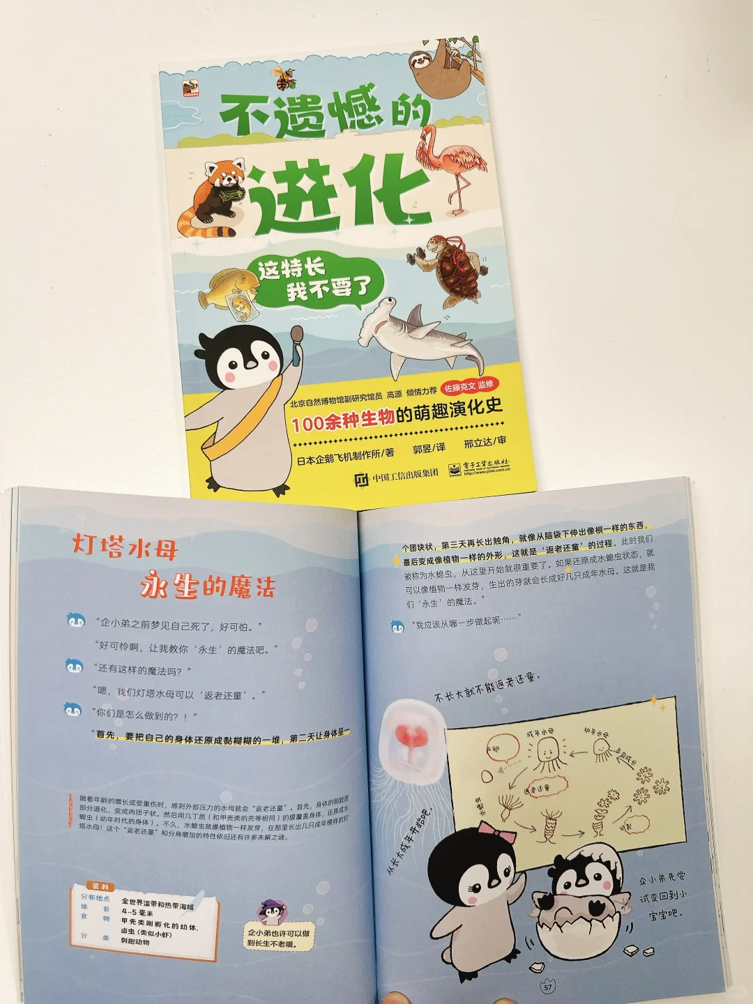 一年级自主阅读书单 | 开启阅读小天地📚