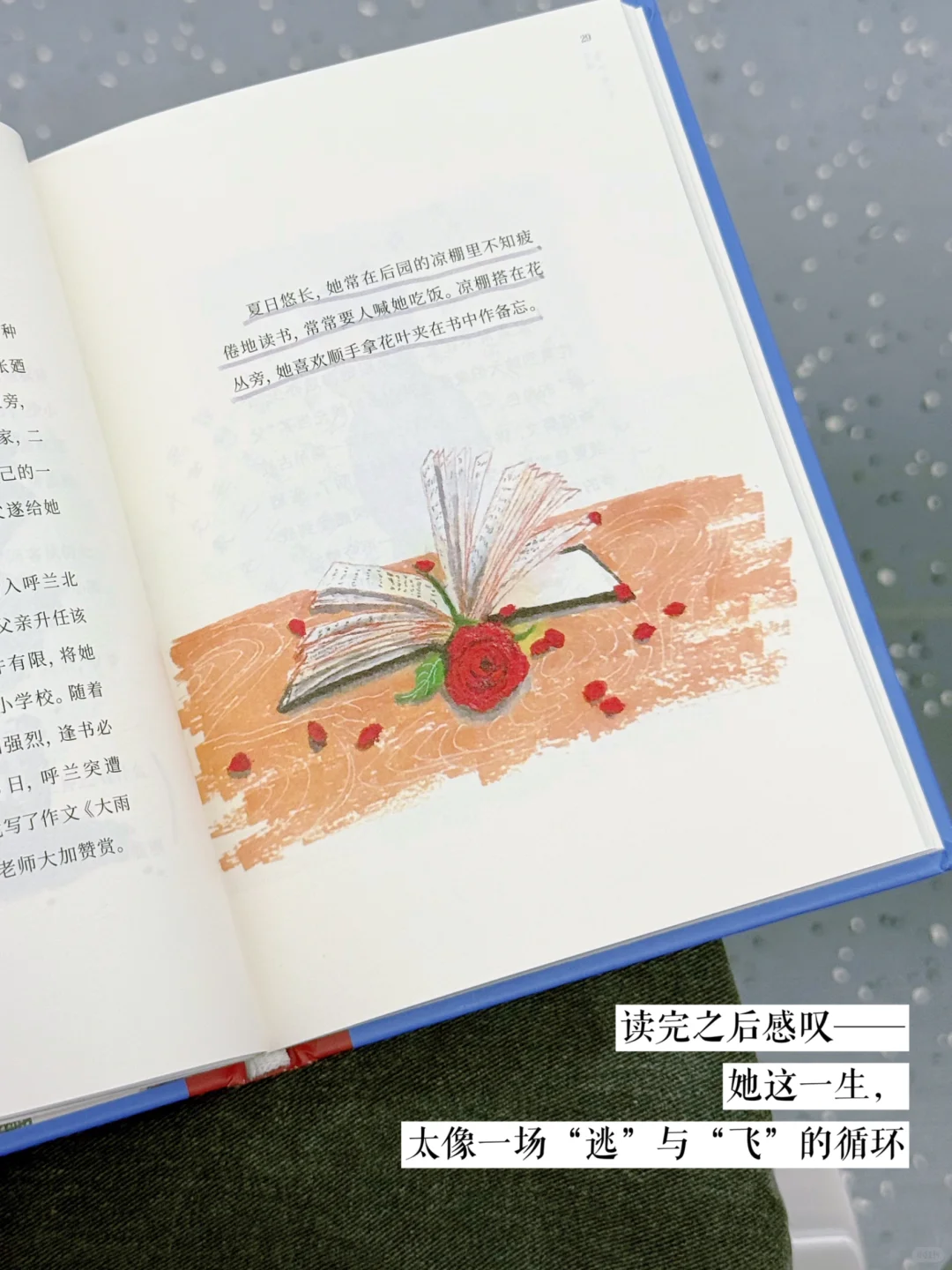 🚇 通勤书单｜读她——在没有路的地方行走🍂