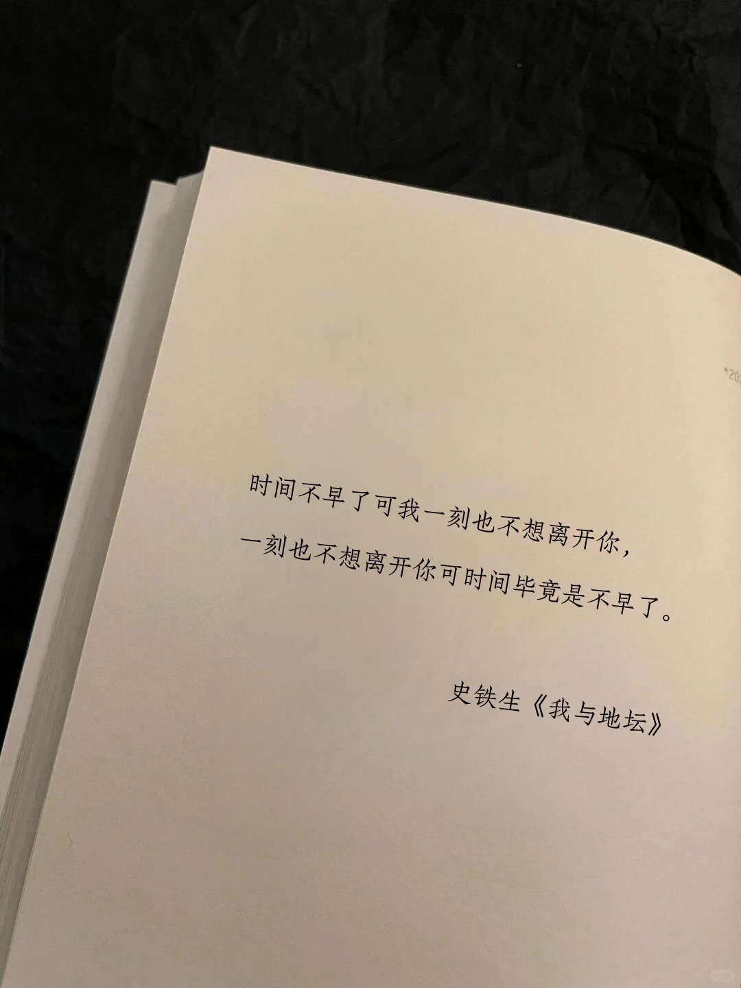 史铁生的顶级文笔！